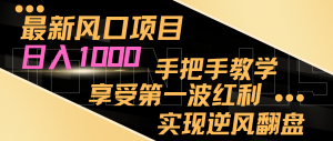 最新风口项目，日入1000，手把手教学，享受第一波红利，实现逆风翻盘-吾藏分享