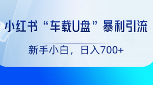 小红书“车载U盘”项目，暴利引流，新手小白轻松日入700+-吾藏分享