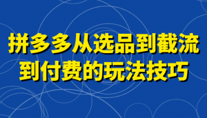 拼多多从选品到截流到付费的玩法技巧，助你掌握截流自然流量，高投产，强付费快速启动-吾藏分享