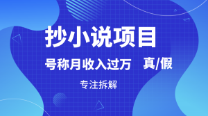 抄小说项目，号称月入过万，到底是否真实，能不能做，详细拆解-吾藏分享