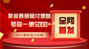 全网首发，2024最新某音赔付思路，号称一单收益5000+-吾藏分享