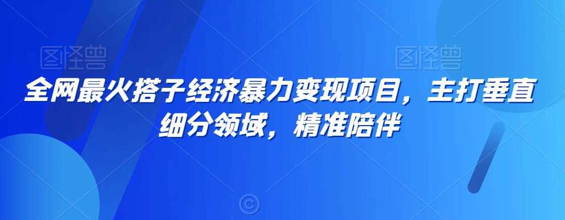 全网最火搭子经济暴力变现项目，主打垂直细分领域，精准陪伴【揭秘】-吾藏分享