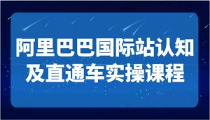 阿里巴巴国际站认知及直通车实操课-国际地产逻辑、国际站运营定位、TOP商家运营思路-吾藏分享