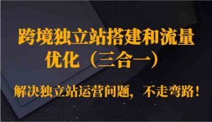 跨境独立站搭建和流量优化（三合一）解决独立站运营问题，不走弯路！-吾藏分享