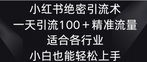 小红书绝密引流术，一天引流100＋精准流量，适合各个行业，小白也能轻松上手-吾藏分享