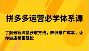 拼多多运营必学体系课-了解最新流量获取方法，降低推广成本，让你做店铺更轻松-吾藏分享