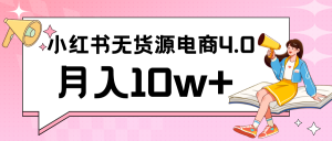 小红书新电商实战 无货源实操从0到1月入10w+ 联合抖音放大收益-吾藏分享