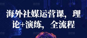 海外社媒运营课，理论+演练，全流程-吾藏分享