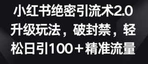 小红书绝密引流术2.0升级玩法，破封禁，轻松日引100+精准流量-吾藏分享