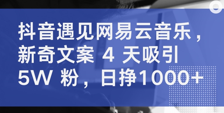 抖音遇见网易云音乐，新奇文案 4 天吸引 5W 粉，日挣1000+-吾藏分享