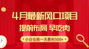 28.4月最新风口项目，提前布局早吃肉，小白也能一天暴利500+-吾藏分享