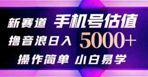 抖音不出境直播【手机号估值】最新撸音浪，日入5000+，简单易学，适合…-吾藏分享