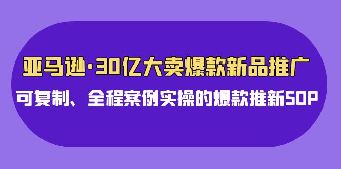 亚马逊30亿大卖爆款新品推广，可复制、全程案例实操的爆款推新SOP-吾藏分享