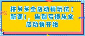 拼多多全店动销玩法【新课】，告别亏损从全店动销开始-吾藏分享