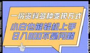 一份资料多种变现方式，小白也能轻松上手，日入800不是问题-吾藏分享