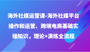 海外社媒运营课-海外社媒平台操作和运营、跨境电商基础实操知识，理论+演练全流程-吾藏分享