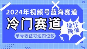 2024视频号冷门蓝海赛道，操作简单 单号收益可达四位数（教程+素材+工具）-吾藏分享