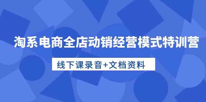 淘系电商全店动销经营模式特训营，线下课录音+文档资料-吾藏分享