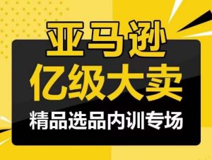 亚马逊亿级大卖-精品选品内训专场，亿级卖家分享选品成功之道-吾藏分享