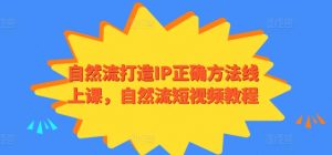 自然流打造IP正确方法线上课，自然流短视频教程-吾藏分享