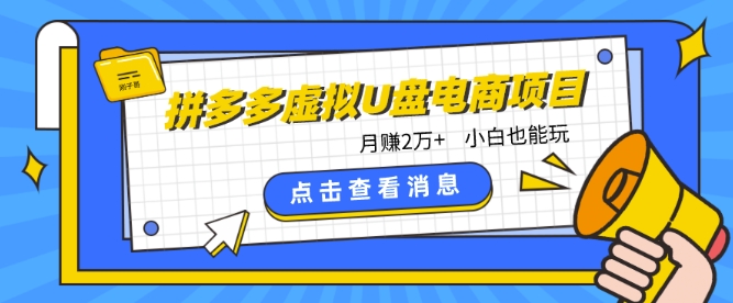 拼多多虚拟U盘电商红利项目：月赚2万+，新手小白也能玩-吾藏分享