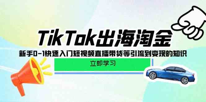 TikTok出海淘金，新手0-1快速入门短视频直播带货等引流到变现的知识-吾藏分享