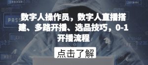 数字人操作员，数字人直播搭建、多路开播、选品技巧，0-1开播流程-吾藏分享