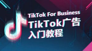 TikTok广告入门教程，从0到1掌握TikTok投放的全流程-吾藏分享