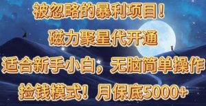 被忽略的暴利项目！磁力聚星代开通捡钱模式，轻松月入五六千-吾藏分享