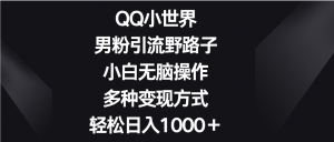 QQ小世界男粉引流野路子，小白无脑操作，多种变现方式轻松日入1000＋-吾藏分享