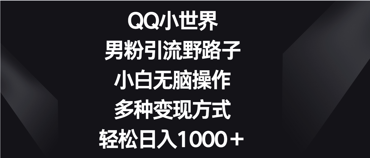 QQ小世界男粉引流野路子，小白无脑操作，多种变现方式轻松日入1000＋-吾藏分享