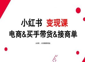 2024年最新小红书变现课，电商&买手带货&接商单，从0到1，小白高效轻创业-吾藏分享