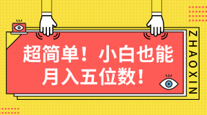 超简单图文项目！小白也能月入五位数-吾藏分享