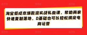 淘宝低成本爆款流实战私教课，帮助商家快速复制落地，0基础也可以轻松搞定电商运营-吾藏分享