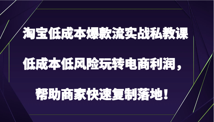 淘宝低成本爆款流实战私教课，低成本低风险玩转电商利润，帮助商家快速复制落地！-吾藏分享