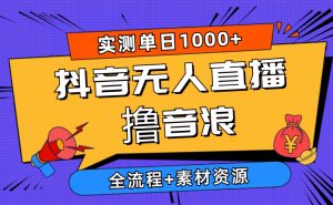 2024抖音无人直播撸音浪新玩法 日入1000+ 全流程+素材资源-吾藏分享