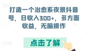 打造一个治愈系夜景抖音号，日收入300+，多方面收益，无脑操作-吾藏分享