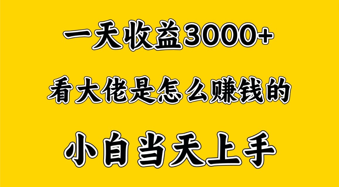 一天赚3000多，大佬是这样赚到钱的，小白当天上手，穷人翻身项目-吾藏分享