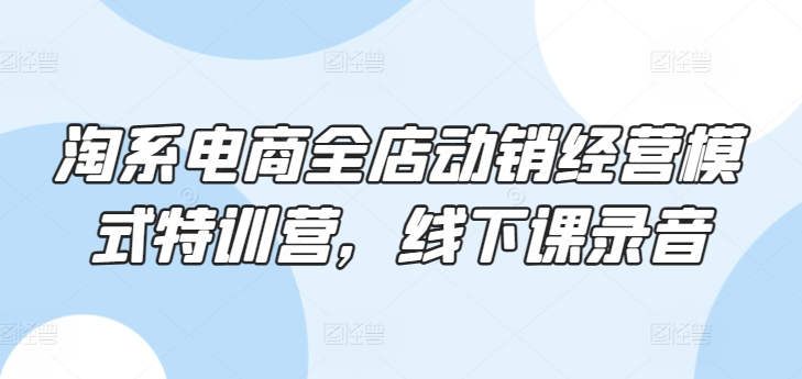 淘系电商全店动销经营模式特训营，线下课录音-吾藏分享