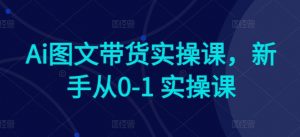 Ai图文带货实操课，新手从0-1 实操课-吾藏分享