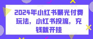 2024年小红书聚光付费玩法，小红书投流，充钱就开挂-吾藏分享