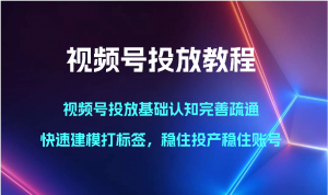 视频号投放教程-视频号投放基础认知完善疏通，快速建模打标签，稳住投产稳住账号-吾藏分享