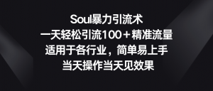 Soul暴力引流术，一天轻松引流100＋精准流量，适用于各行业，简单易上手！-吾藏分享