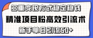 精准项目粉高效引流术，新手单日引流50+，多重变现方式稳定赚钱-吾藏分享