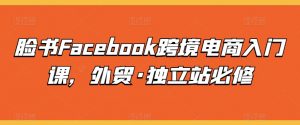 脸书Facebook跨境电商入门课，外贸·独立站必修-吾藏分享