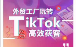 外贸工厂玩转TikTok高效获客，多种引流方式与账号定位技巧，拆解爆款短视频打造成功案例-吾藏分享