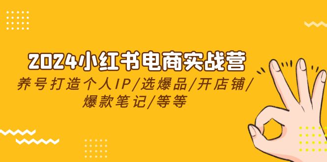 2024小红书电商实战营，养号打造IP/选爆品/开店铺/爆款笔记/等等（24节）-吾藏分享