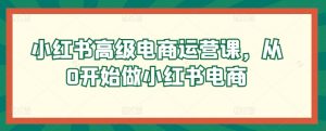 小红书高级电商运营课，从0开始做小红书电商-吾藏分享