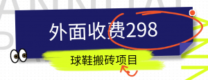 外面收费298的得物球鞋搬砖项目详细拆解教程-吾藏分享