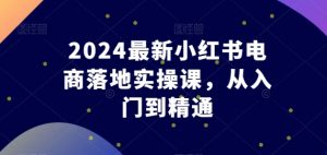 2024最新小红书电商落地实操课，从入门到精通-吾藏分享